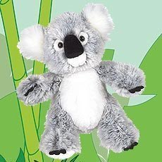 webkinz koala