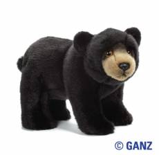 Webkinz Signature Black Bear | In Stock